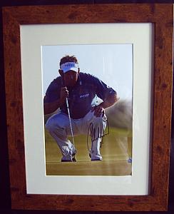Lee Westwood